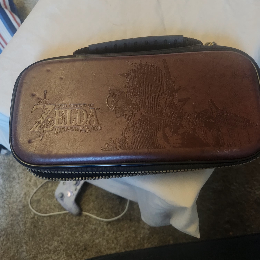Zelda Brown Carrying Case